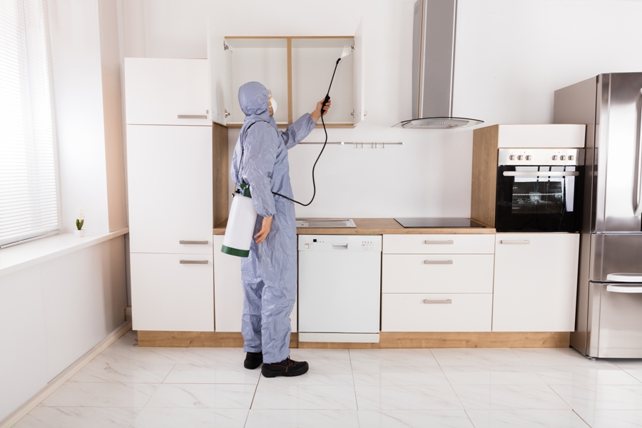 Fire The Pesky Pest With The Best Pest Control Services