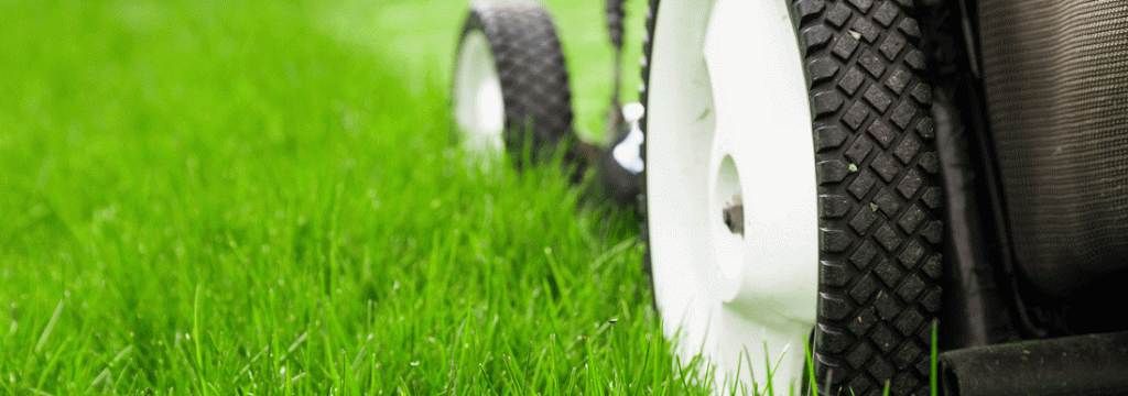 Tips On How To Make Your Lawn Green With Envy